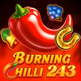 Spielcover Burning Chilli 243